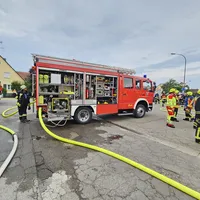 20250726_082611.jpg